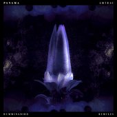 Hummingbird (Remixes)