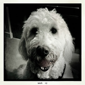 Avatar di doug_w