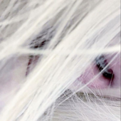Avatar di mad^
