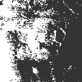 Avatar for naz6r
