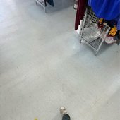ab6761610000e5eb4a1ab8075a9350722725d905.jpg