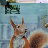 squirrel on a new wave