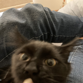 Avatar für Deniiika