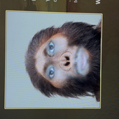 Avatar for reselling