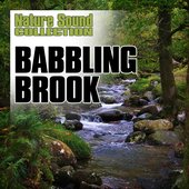 Babbling Brook (Nature Sounds)