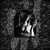Shadow Garden