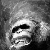 Avatar for opsave