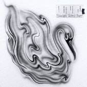 Swan Weather