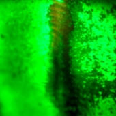 Avatar di mandofreak