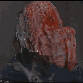 Avatar for LSDIIS