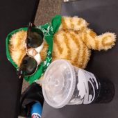 Avatar for LuckMeow