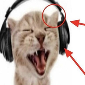 Avatar di sserket