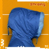 Avatar for streifig