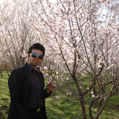 Avatar for arash_f
