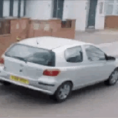 IMG_6974.gif