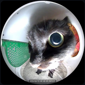 Avatar for HetaCat