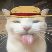 Avatar for benthetacoman