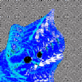 Avatar for PerfectF16