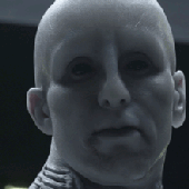 Avatar for postinopanda