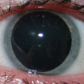 Stalaggh için avatar