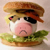 Avatar for quoeaid