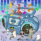 Avatar di maybe_monday