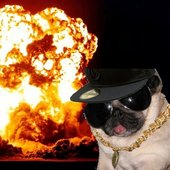Chief Doggingfood