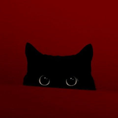 Avatar for sunsethoney