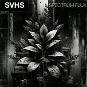 Spectrum Flux