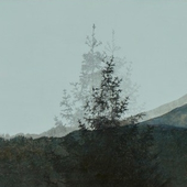 Avatar for rododendri