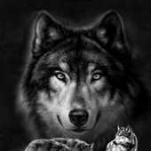 Avatar for wolfstom