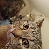 Avatar für TonyLorente