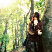 dreamweaver (jp)