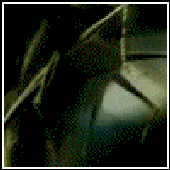 Avatar for SuddenlyDeath