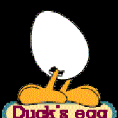 ducksegg 的头像