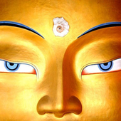 Avatar for Janszalan