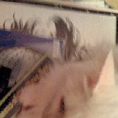 Avatar for tiagoamaro