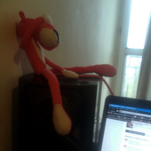 Avatar di Dwupack