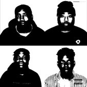 BLACK FLIGHT [Explicit]