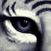 Avatar di Untouchable_15