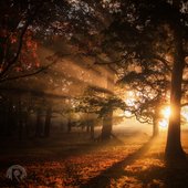 New Paths