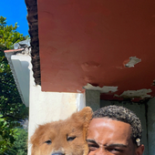 derxan dog