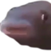 Avatar for CarlosMeredith