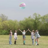 BITE DISTRICT, Kinetic ver.  (2026)