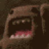 Avatar for ptri