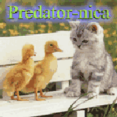 Avatar for Predator-nica