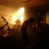Demosul 2008
