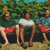 Lama - ska band from Switzerland.jpg