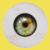 Avatar for sprbn