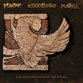 The Architecture Of The Ritual